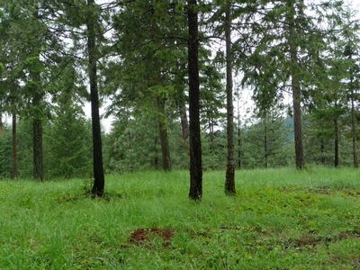 Xxx Palmer Ln, Chewelah, WA, 99109