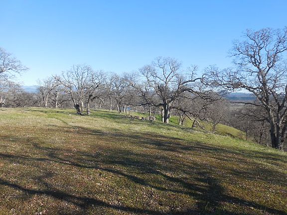 5th image of 22046 Zapatero Ln