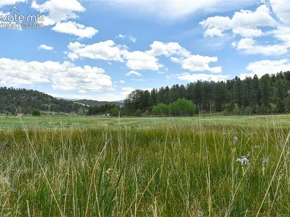 729 Valley Dr, Guffey, CO 80820