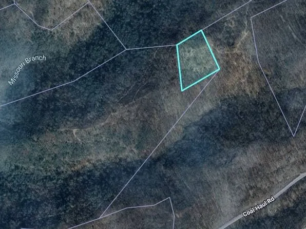 0 Missouri Br, Dunlow, WV 25511