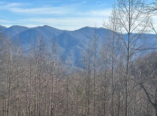 8 Pigeon Creek Rd, Bryson City, NC 28713