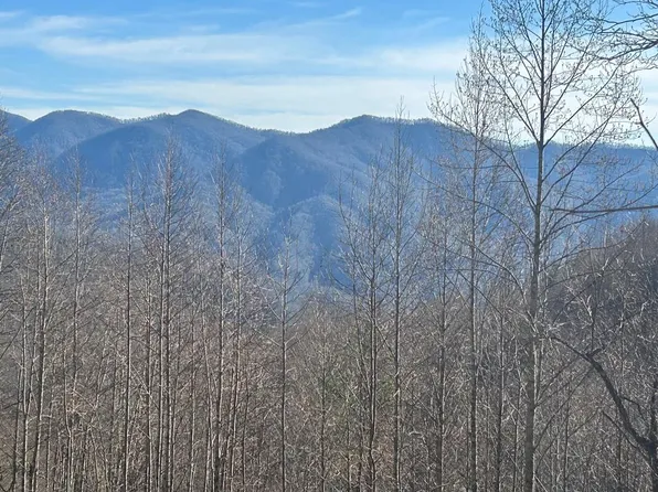 8 Pigeon Creek Rd, Bryson City, NC 28713