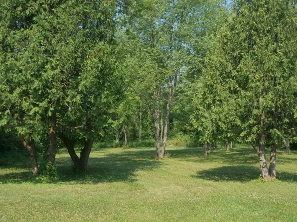 0 Nottingham Dr, Laingsburg, MI 48848