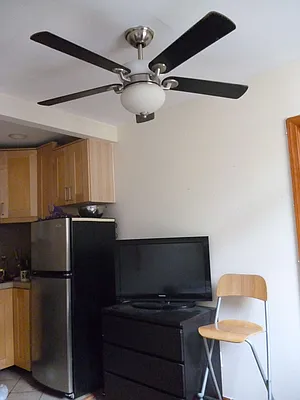 Rented by GPS Realty NYC | media 14