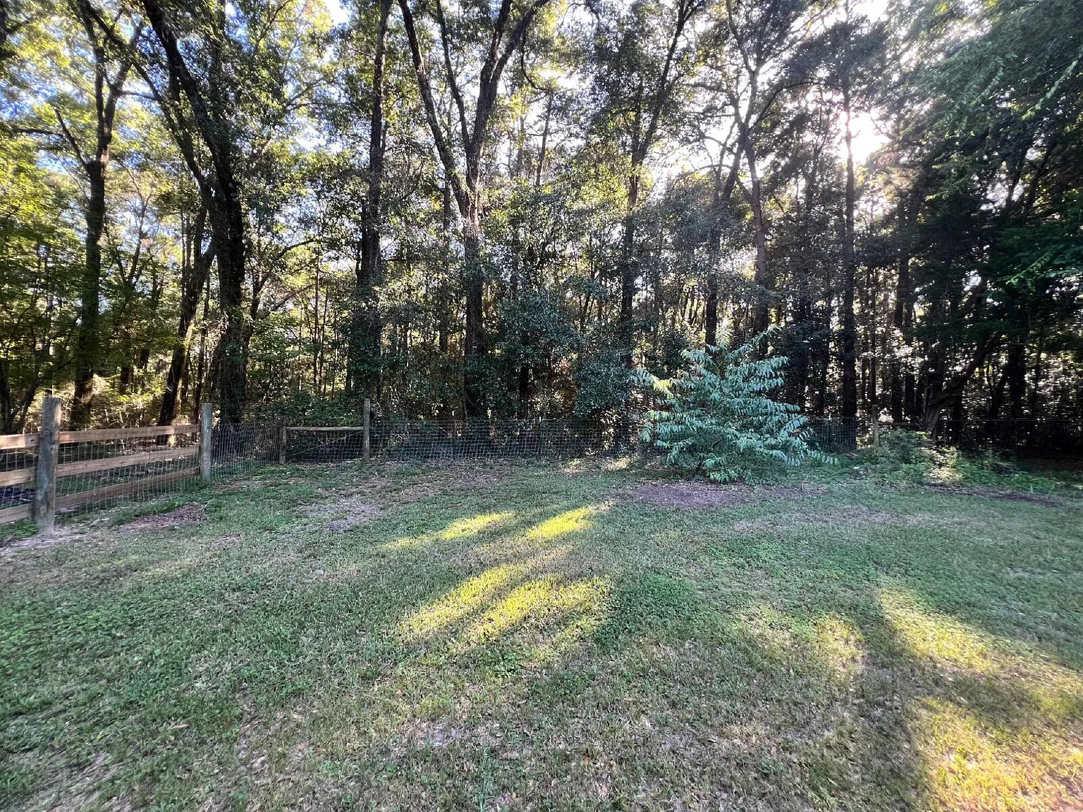 3 bed, 2.0 bath, 2016 sqft, $2,200 — Photo 4