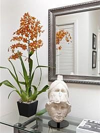 5th image of 2542 Sacramento St APT 303