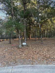 625 Edmonston Drive SW, Supply, NC, 28462