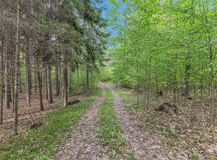 V/l E Mile Rd #8, Luther, MI 49656