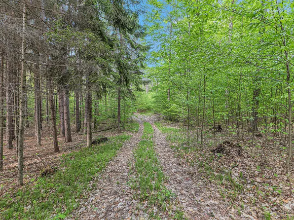 V/l E Mile Rd #8, Luther, MI 49656