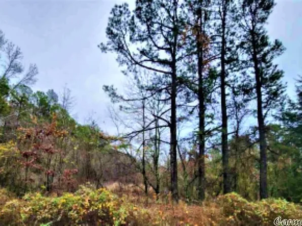 1156 Polk Rd #16, Cove, AR 71937