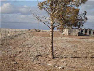 4th image of 4606 Zuni Dr