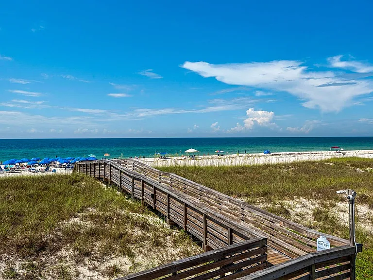 14358 Beach Heather Ct #ID1585614P — Photo 17