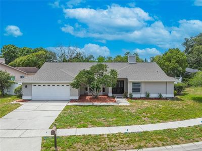 465 Holly Hill Rd, Oldsmar, FL, 34677
