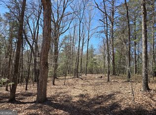 95 Black Bear Trl, Cleveland, GA 30528