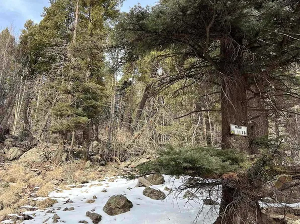 1116 El Camino Real, Angel Fire, NM 87710
