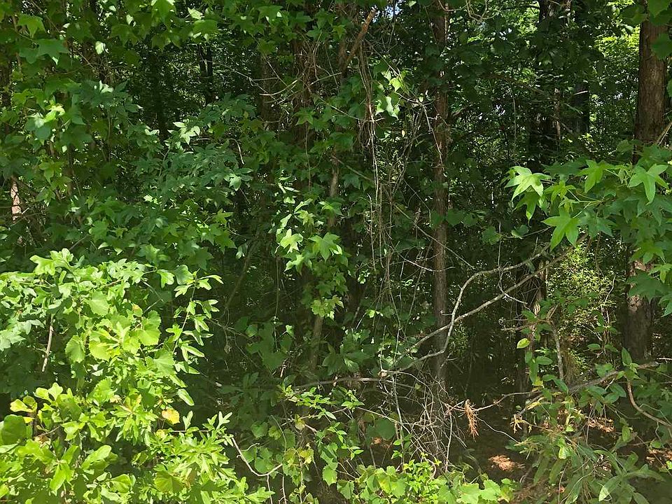 2nd image of 118 Oakview Club Dr