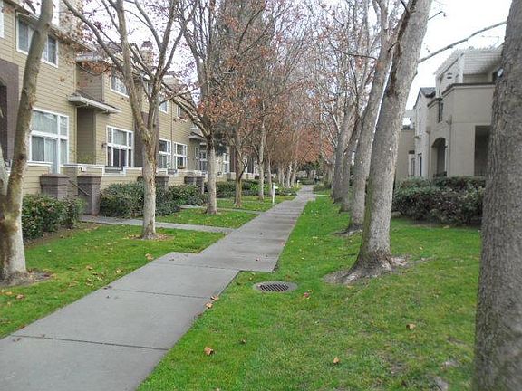 Walking trail next to the condo.