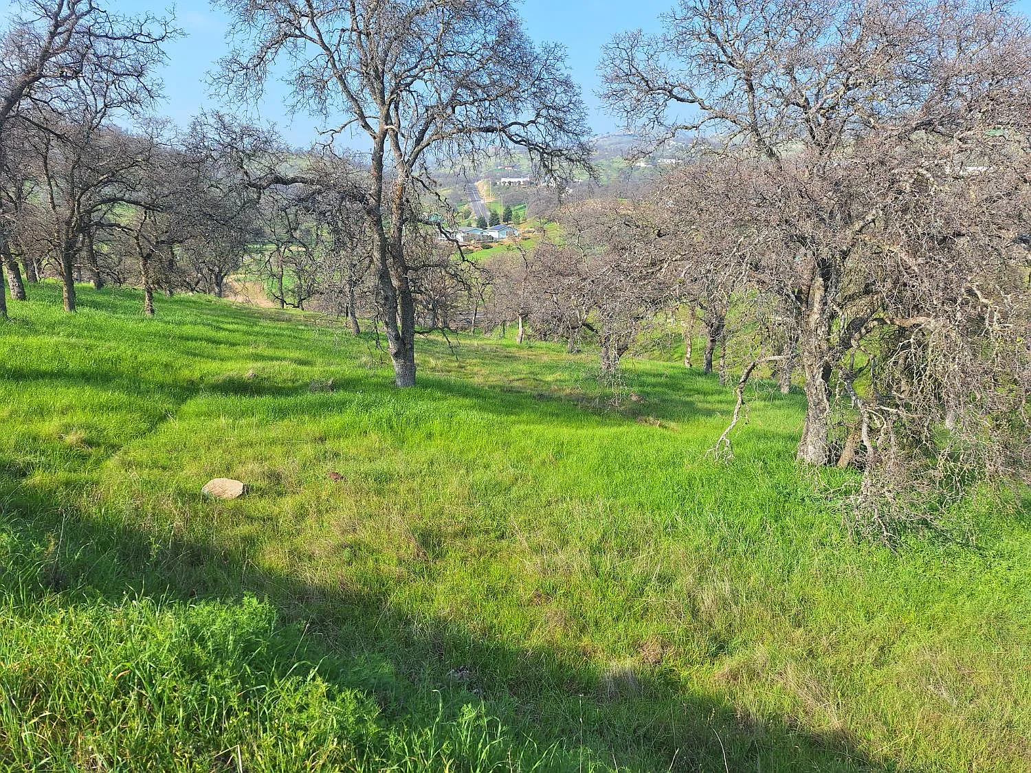 9000 Capullo Cir photo 1
