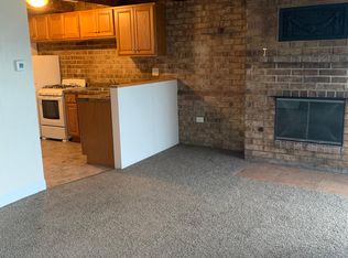 320 N Crystal St APT B, Elgin, IL