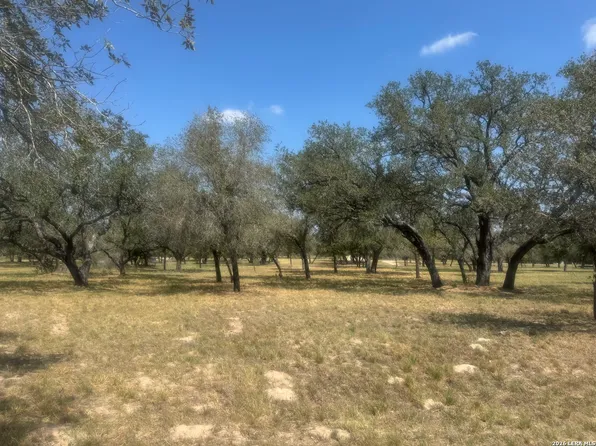 1600 County Road 770 LOT 11, Natalia, TX 78059