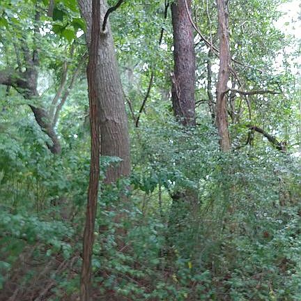 2nd image of 32 W Saratoga Rd