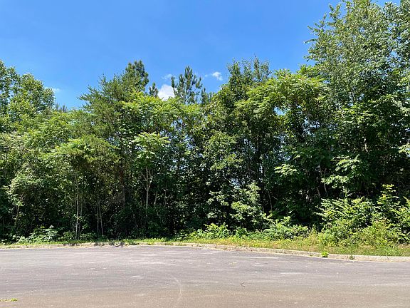 3rd image of Pinnacle Dr