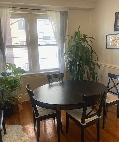 785 Mount Auburn St #2 — Photo 5