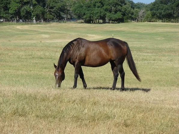0 Pfeiffer Rd, Boerne, TX 78006