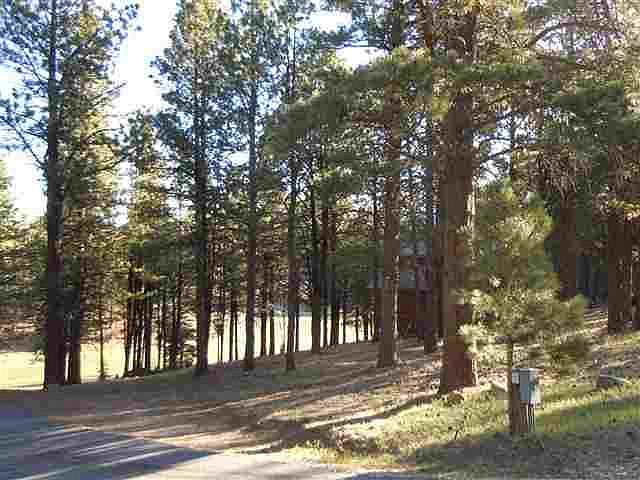 1st image of 183 Spyglass Hl