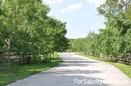Earl-E-Riser Ranch : Long tree lined drive