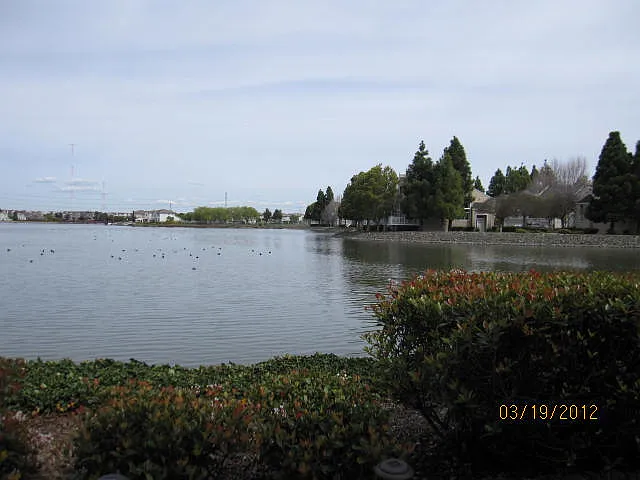 Building Photo - 206 Mendocino Way