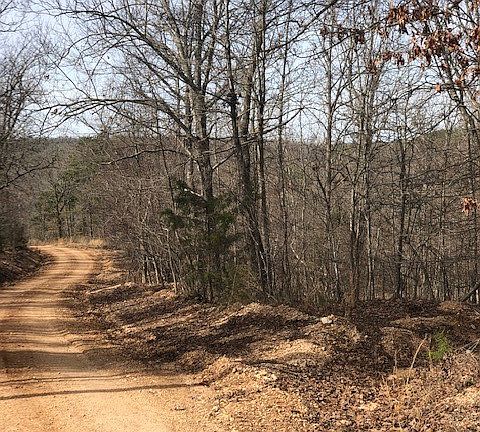 5th image of County Road 501