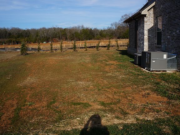 Left side yard