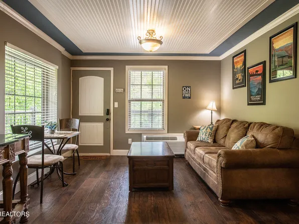 7239 E Lamar Alexander Pkwy #206, Townsend, TN 37882