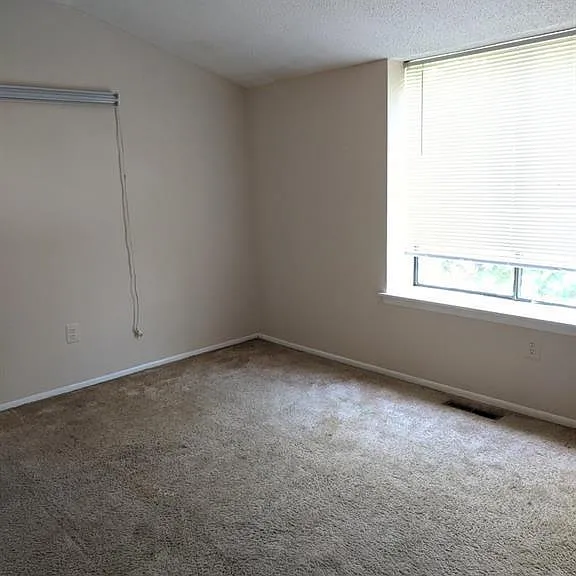 5903 Hana Rd — Photo 10