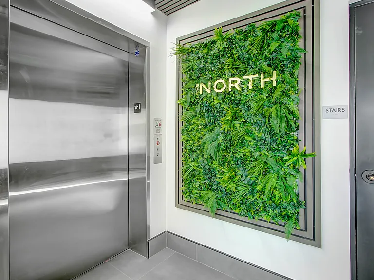 The North — Photo 36