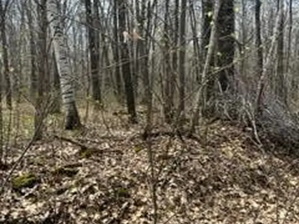 Marble Dr, Cushing, MN 56443