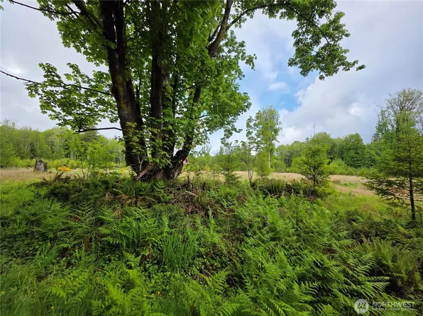 670 W Maple Rock Road, Matlock, WA 98560