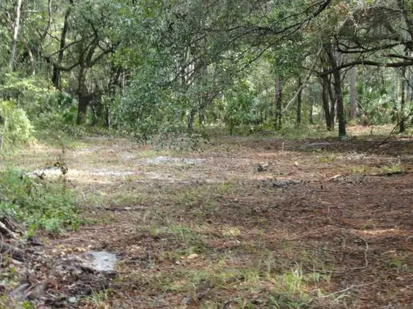 250 Smith Rd, Apalachicola, FL 32320