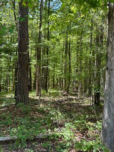 143-4 Steel Bridge Trl, Eatonton, GA, 31024