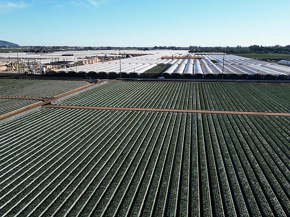 4th image of 2151 E Wooley Rd