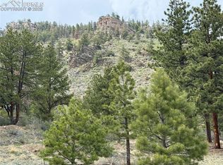 202 County Rd, Lake George, CO 80827
