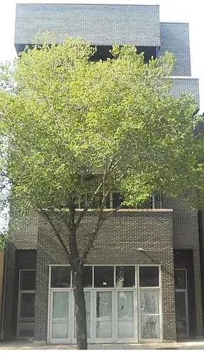 3234 W Fullerton Ave #REAR Photo 1 3234 W Fullerton Ave #REAR Photo 1