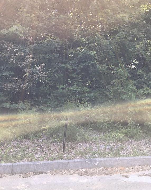 2nd image of 223 Olde Farm Dr