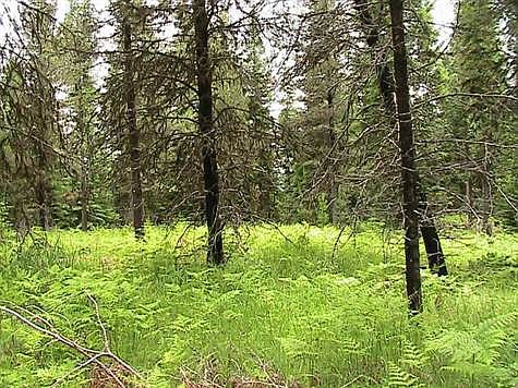 5th image of Tbd Evergreen Lane Lot B