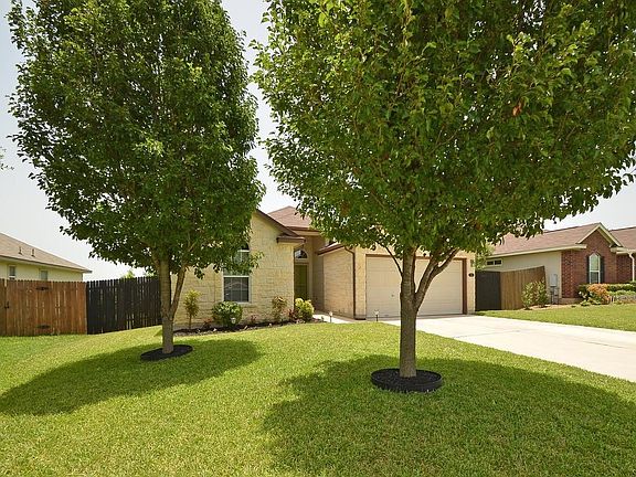 Beautiful Trees & Green Lawn