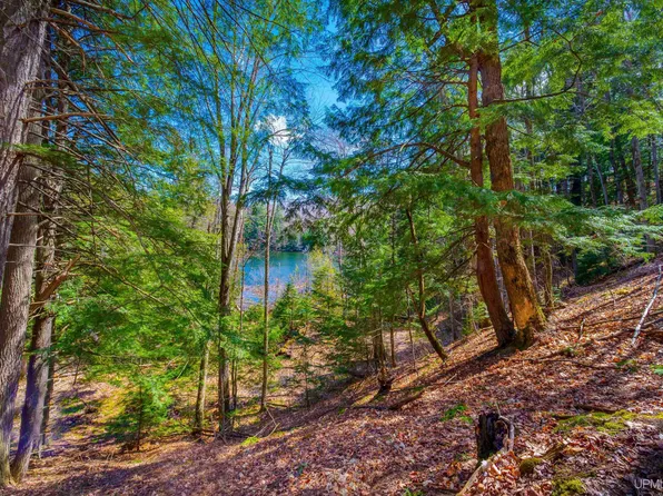 Bushy Creek Trl Lot 13, Marquette, MI 49855