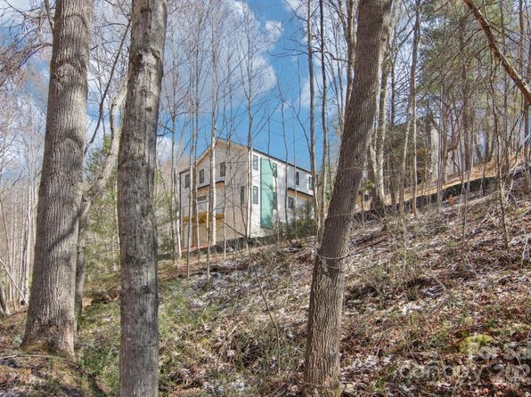 181 Curly Maple Dr, Canton, NC 28716