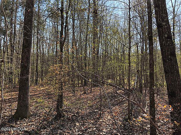 2nd image of 386 Nelson Rd NW