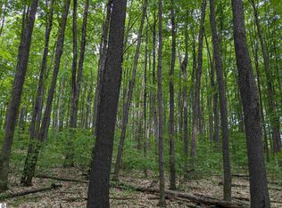 0 E 26th Rd, Cadillac, MI 49601